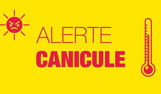 Alerte canicule